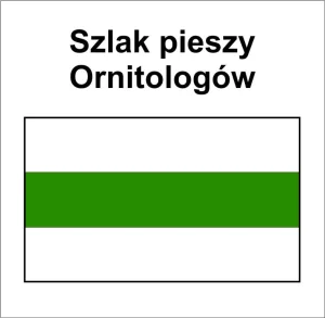 P-Z-ZPL-031, szlak pieszy zielony, Uniemyśl - Tanowski Las, 10km