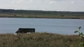 IMG_6553.JPG