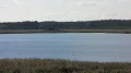 IMG_6554.JPG
