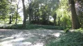 IMG_6390.JPG