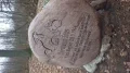 IMGP2796.JPG
