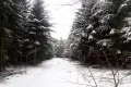 P1162615.JPG