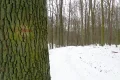 P1162620.JPG