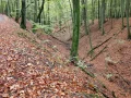 PA190090.JPG
