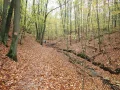 PA190094.JPG