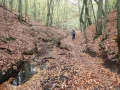 PA190095.JPG
