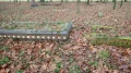 PC210388.JPG