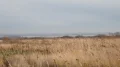 PC210396.JPG