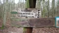PC210425.JPG