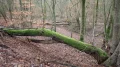 PC210434.JPG