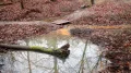 PC210436.JPG