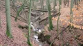 PC210456.JPG
