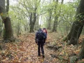 PA190045.JPG