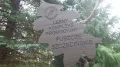 IMGP2820.JPG