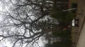 IMGP3140.JPG