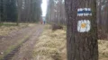 IMGP3156.JPG