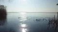 IMGP0033.JPG