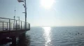 IMGP0048.JPG