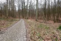 P2220531.JPG