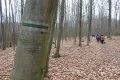 P2220542.JPG
