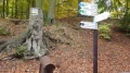 IMGP0941.JPG