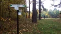IMGP0937.JPG