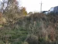IMG_1668.JPG