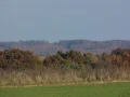 IMG_1670.JPG