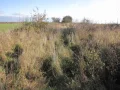 IMG_1672.JPG