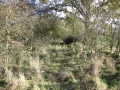 IMG_1674.JPG
