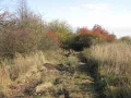 IMG_1679.JPG