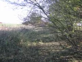 IMG_1680.JPG