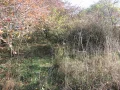 IMG_1683.JPG
