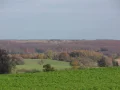 IMG_1685.JPG