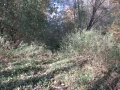 IMG_1692.JPG