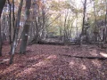 IMG_1694.JPG