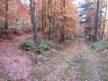 IMG_1709.JPG