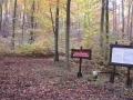 IMG_1712.JPG