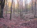 IMG_1716.JPG
