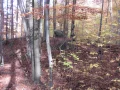 IMG_1717.JPG
