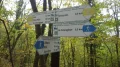 IMGP0931.JPG