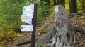 IMGP0942.JPG