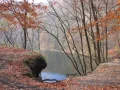 IMG_1784.JPG