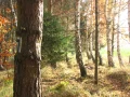 IMG_1861.JPG