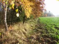 IMG_1864.JPG