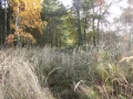 IMG_1870.JPG