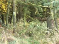 IMG_1873.JPG
