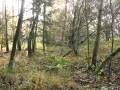 IMG_1877.JPG