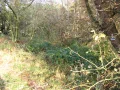IMG_1882.JPG