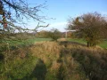 IMG_1893.JPG